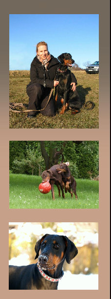 hunde002.jpg