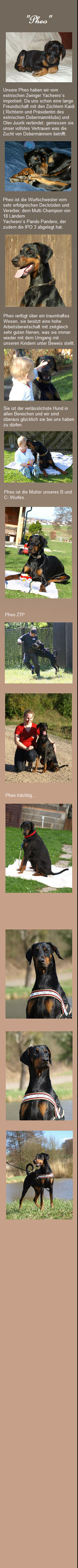hunde017.jpg