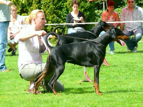 hunde040.jpg