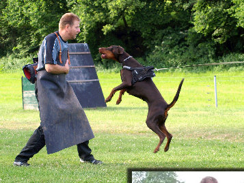 hunde067.jpg