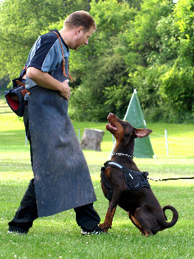 hunde074.jpg