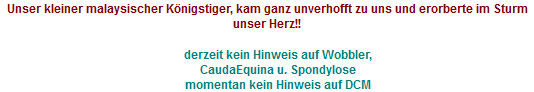 hunde077.gif