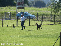 hunde079.jpg