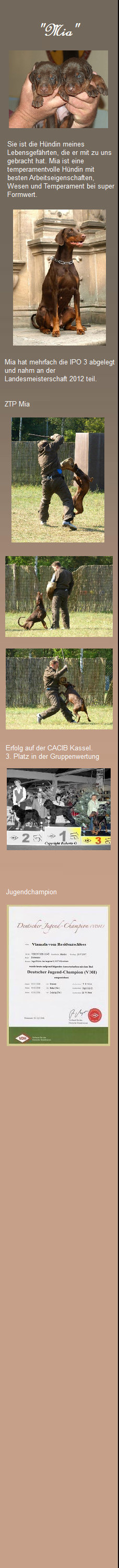 hunde080.jpg