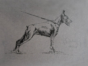 galerie1064.jpg