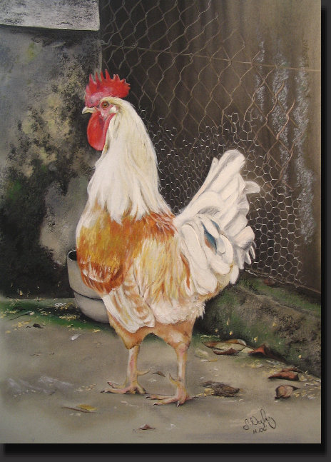 galerie3025.jpg