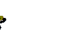 inhalt007.gif