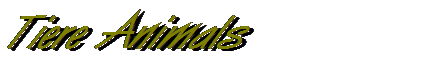inhalt127.gif