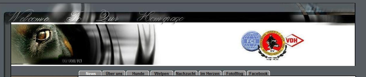 news000.jpg