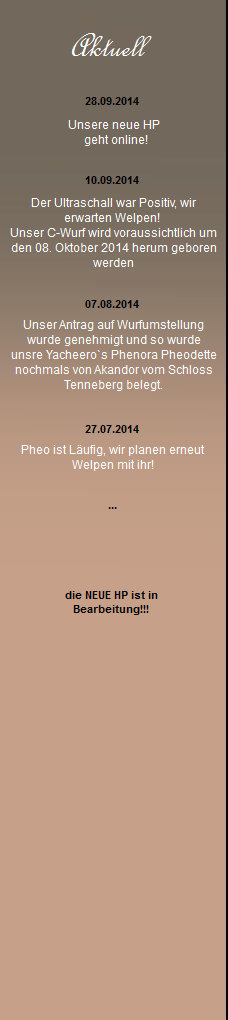 news001.jpg